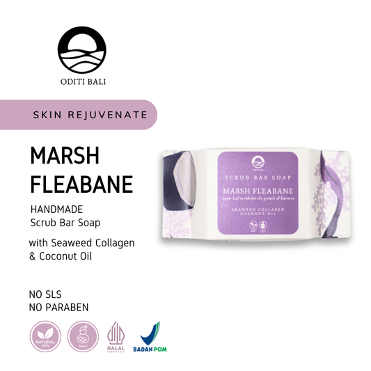 MARSH FLEABANE - Seaweed Scrub Bar Soap (120 gr)