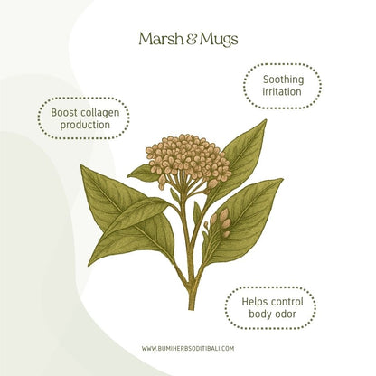 Marsh and Mugs 3-in-1 Herbal Wash (100ml)