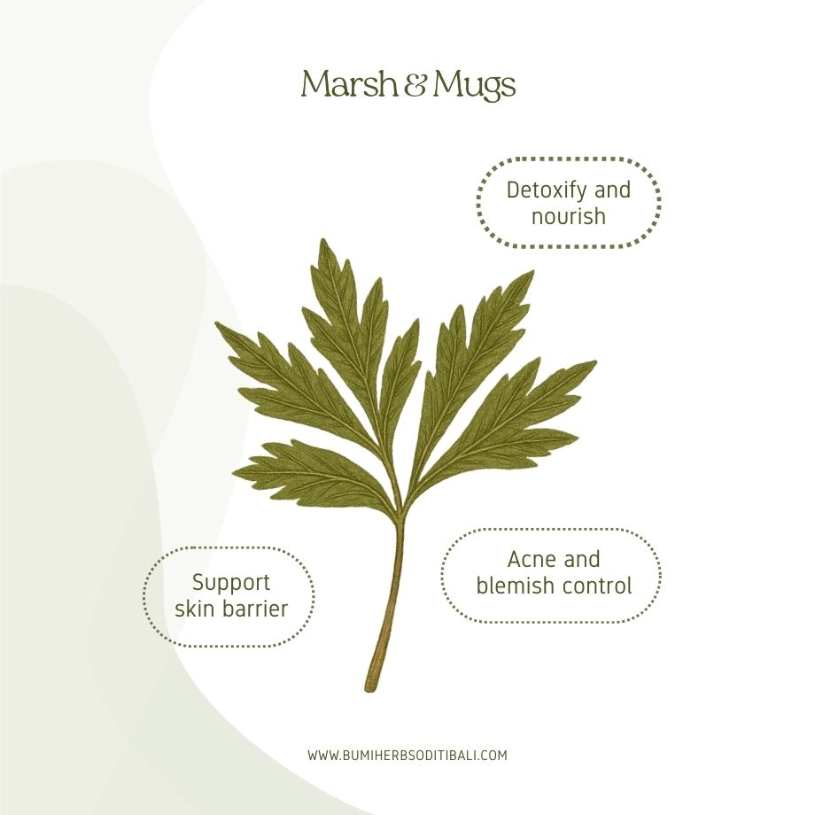 Marsh and Mugs 3-in-1 Herbal Wash (250ml)