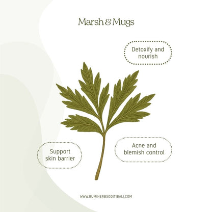 Marsh and Mugs 3-in-1 Herbal Wash (250ml)